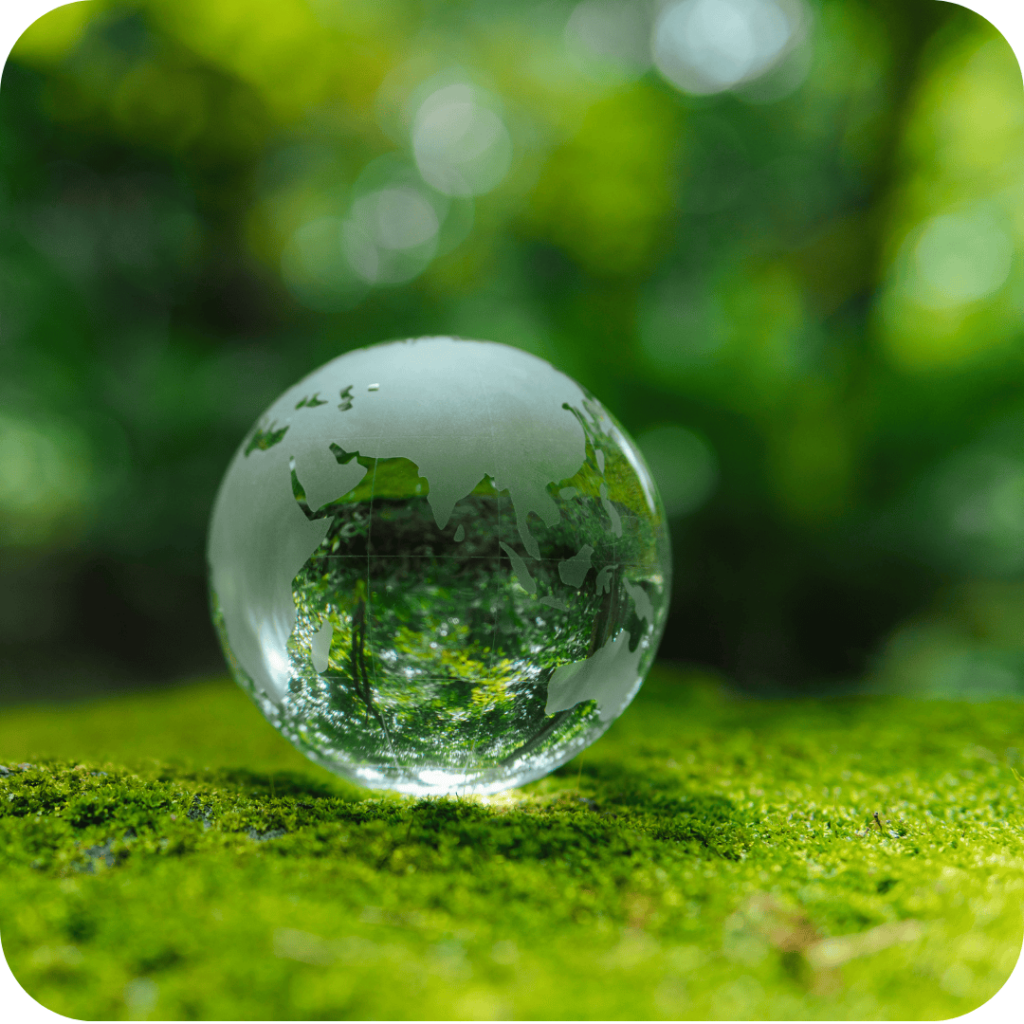 carbon footiprint il nostro approccio
