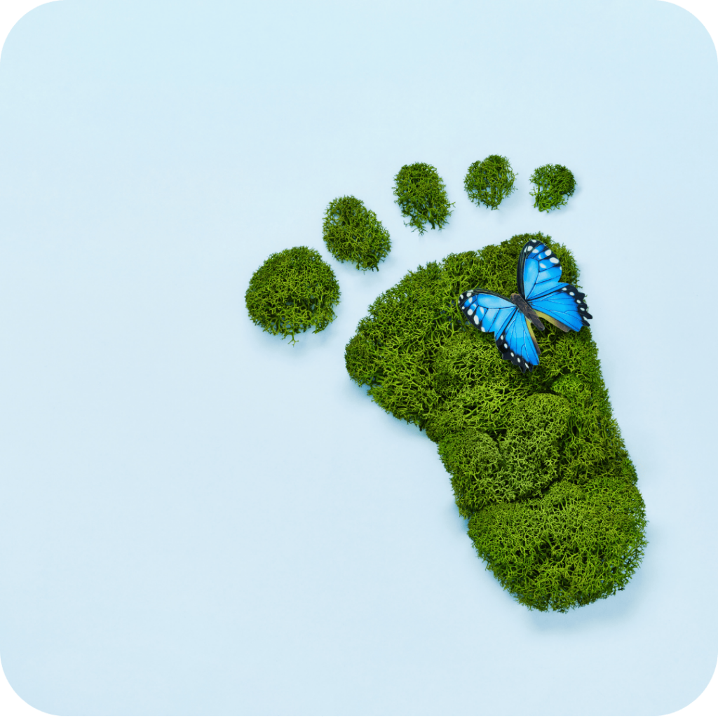 carbon footprint cos'è